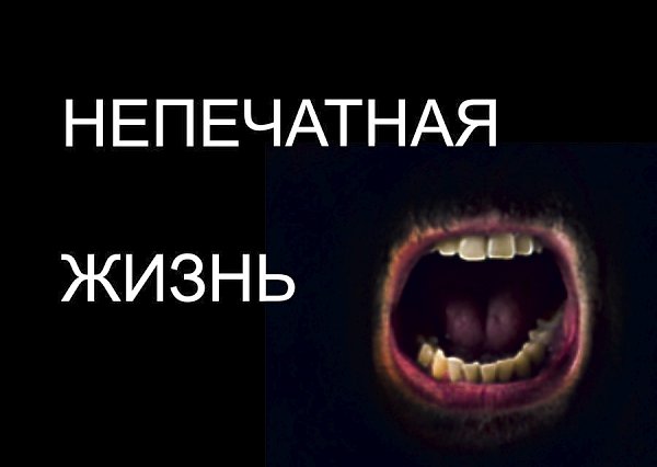 «Непечатная жизнь и её печатные грани». Сатирические заметки публициста Владимира Бровкина