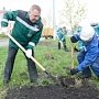 У Керченского моста сажают клены