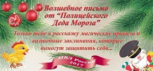 В МВД России начинается Всероссийская акция "Полицейский Дед Мороз"