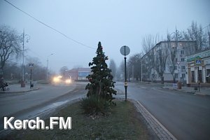 В Керчи продолжают воровать игрушки с новогодних ёлок