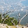 Ялте вернули историческую здравницу и большой земельный участок