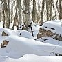 В Симферополе готовятся к спецоперации