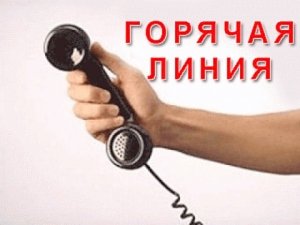 Госкомрегистр временно приостановил работу стационарных телефонов «горячей линии»