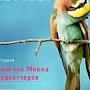 Как дельфины лечат топ-менеджеров и кто такие бёрдвотчеры — скоро в «Крымском журнале»