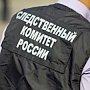 Следственный комитет возбудил уголовное дело по факту смерти подростка в результате катания на санях в Крыму