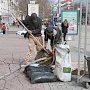 На площади Лазарева высадили тюльпанные деревья