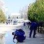 В Керчи коммунальные службы озеленили Митридат