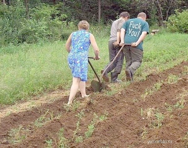 Газета «Правда». Газовый гигант просит дачников самоликвидироваться