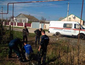 В Черноморском спасли осла: животное провалилось в яму глубиной два метра