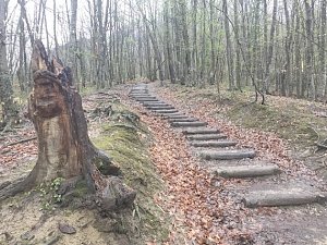 В конце апреля в Большом каньоне пофестивалят бегуны