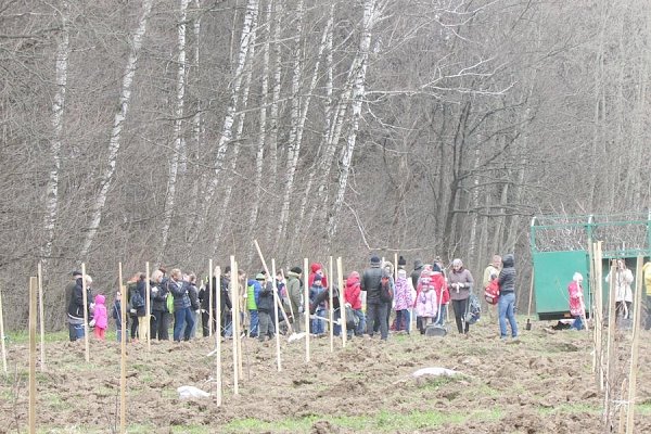 Коммунисты и комсомольцы Москвы провели субботник в музее-заповеднике «Горки Ленинские»