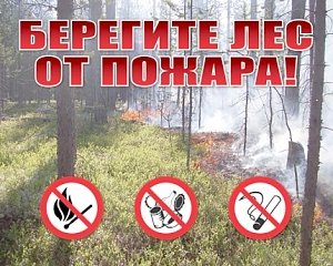 Выезжая на природу, будьте осторожны с огнём