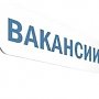 В туристической сфере Крыма наиболее востребованы повара и официанты