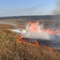 Загорание в Белогорском районе полностью ликвидировано