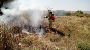 В Крыму за неделю ликвидировано более 170 загораний