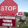 Десять вспышек АЧС между домашних свиней зарегистрировали специалисты в этом году