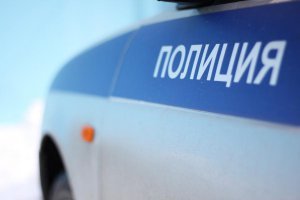 Керчане вызывали полицию, чтобы разнять собак у себя в доме