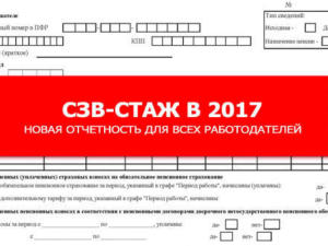 ПФ напоминает работодателям про необходимость сдавать сведения о страховом стаже застрахованных лиц