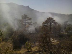 Несовершеннолетнего мальчика три часа искали в горах крымские спасатели, конологи и местные жители