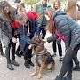 Дети из Керчи познакомились с кинологами и служебными собаками