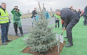 Крымские чиновники высадили лес на месте бывшего концлагеря «Красный»