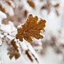 В понедельник Крым накроют ливни, переходящие в снег