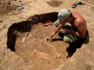 Свыше 80 памятников истории обнаружили во время строительства трассы «Таврида»