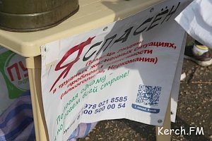 Волонтеры по субботам на «блошином» рынке кормят нуждающихся керчан