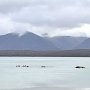 Чернореченскому водохранилищу дали «голубую метку»