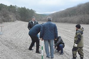 В Бахчисарае во Всероссийский день леса высадили более ста саженцев дуба