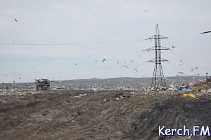 Возгорания на Керченской городской свалке не было, — директор санполигона