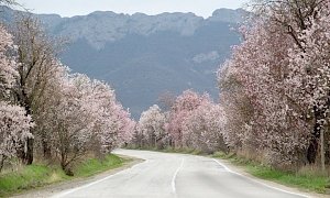 В воскресенье в Крыму до 21 градуса тепла, местами дожди