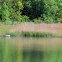 Когда лучше воздержаться от купания в естественном водоеме?