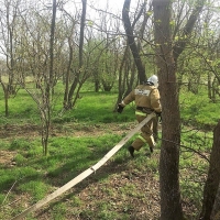 В Красногвардейском районе прошли пожарно-тактические учения