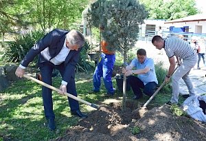 Более ста экзотических растений высадят в Детском парке Симферополя