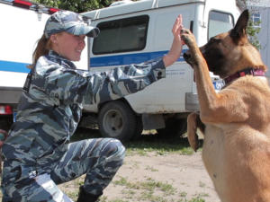 Полицейских кинологов приглашают на службу в Керчи