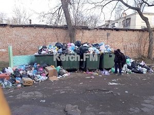 В Аршинцево пятый день не вывозят мусор, контейнеры переполнены