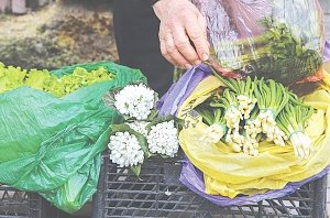 Приобретённый на улице букет подснежников может стоить вам десятки тысяч рублей