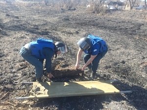 Спасатели обезвредили авиабомбу времен Великой Отечественной войны