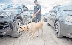 Что и в каком количестве можно провозить через крымские таможенные посты без декларации