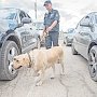 Что и в каком количестве можно провозить через крымские таможенные посты без декларации