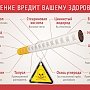 Студенты КФУ ведут борьбу против курения