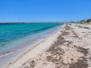 Водопользователям нельзя привлекать к обследованию пляжей сомнительные организации, — МЧС