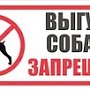 В Феодосии запретили выгуливать домашних животных на территории пляжей, школ и кладбищ