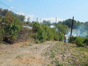 Пожарные ликвидировали пожар в районе Алушты