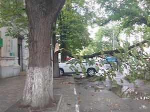 В Симферополе продолжают расчищать улицы от сломанных после урагана деревьев