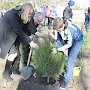 В Красногвардейском районе прошла патриотическая акция «Лес Мира»