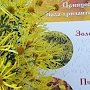 В Никитском Ботсаду выбрали Принцессу Бала