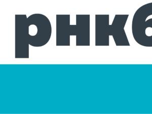 РНКБ продолжает выдачу кредитов в рамках государственной программы льготного автокредитования в 2020 году