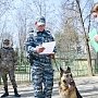 105 крымчан оштрафовали за любовь к прогулкам